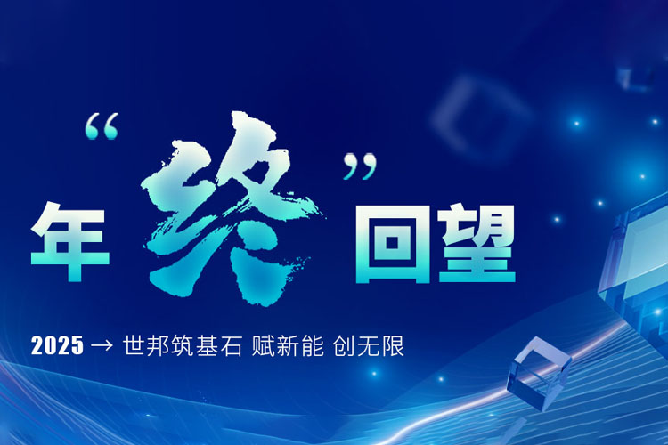 年终回望 | 2025→世邦筑基石 赋新能 创无限